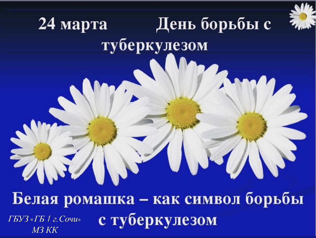 pic denborbystub